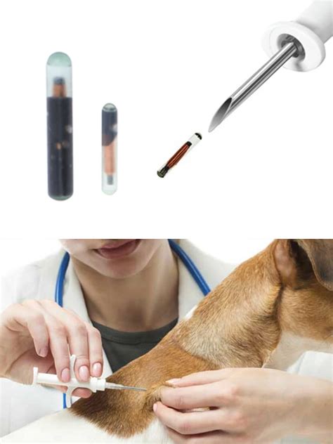 reprogram rfid pet chip|Animal microchips .